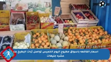 أسعار الفاكهة بأسواق مطروح اليوم الخميس تواصل ثبات البطيخ عند عشرة جنيهات